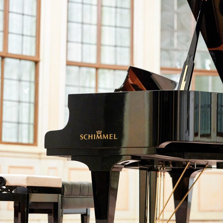 Schimmel K 230 T